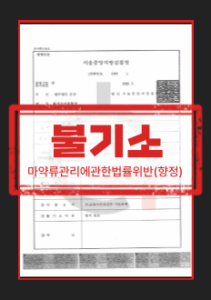 필로폰 투약 초범 사건의 치료·교육 소명 자료 정리