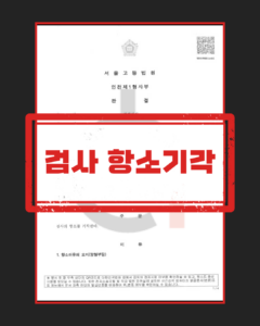 강간치상 집행유예 판결문