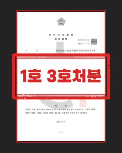 딥페이크 허위영상물 반포 사건의 소년재판 소명 자료 정리