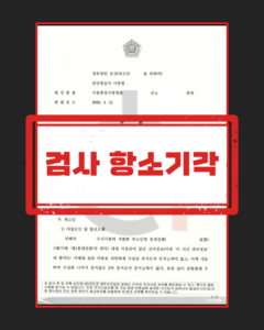 불법촬영물 시청·소지 검사 항소기간 판결문