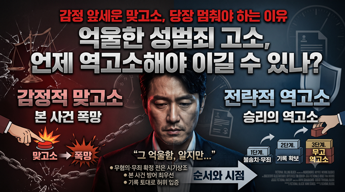성범죄 무고 역고소