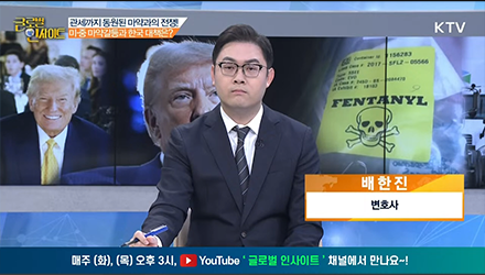 글로벌인사이트