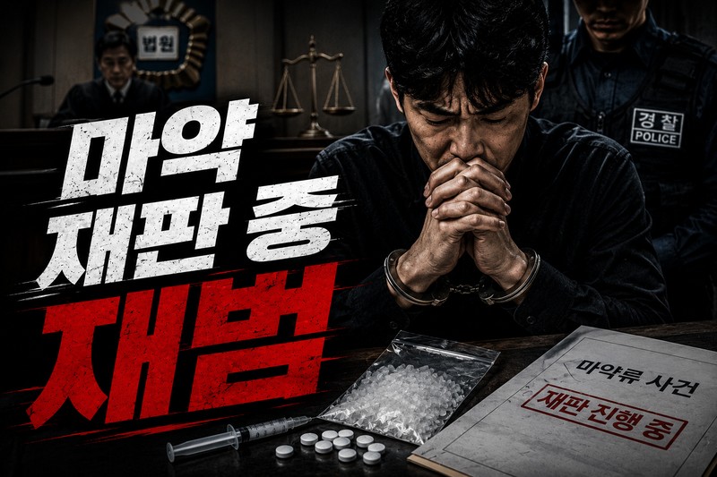 마약 재판 중 재범 사건에서 검토되는 양형 요소 정리 표