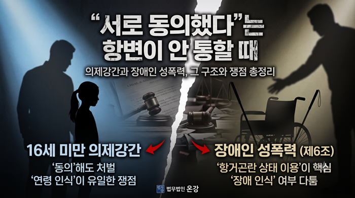 장애인성폭력 처벌