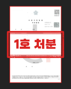 소년보호처분