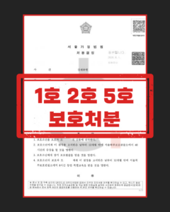 소년원 송치