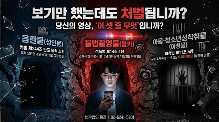 음란물 소지 처벌