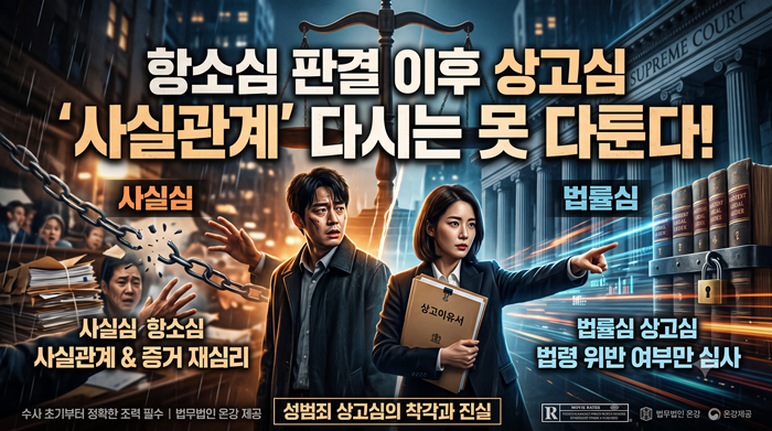 항소심 판결 이후 상고심