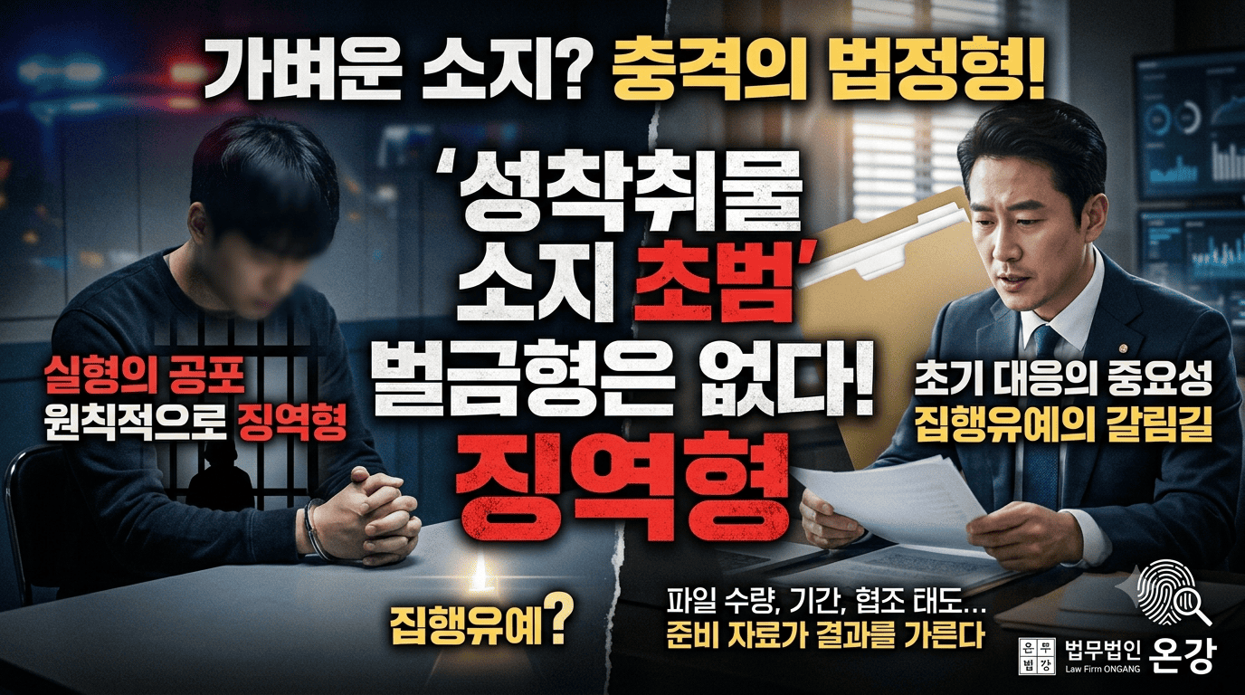 성착취물 소지 초범
